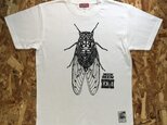 昆虫 デザイン Tシャツ ／ミンミンゼミ Tシャツの画像