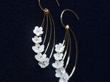 白蝶貝の細工による姫リンゴの花のフックピアス　～Crabapple flowerの画像