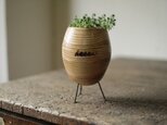 多肉植物の木鉢 No.1 / ヒノキの画像