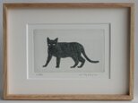 黒い猫・2020/ 銅版画 (額あり）の画像