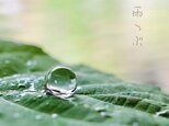 雨粒ピアス　フックピアス（アレルギー対 ）の画像