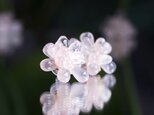 ローズクォーツによる蓮の花のピアス　～Lotus flowerの画像