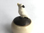 陶のハコ・手のり小鳥「キバタン」の画像