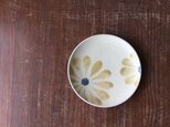 5.5寸皿 釉彩菊花紋の画像