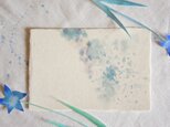 和紙の絵葉書【星が咲く】