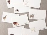 選べる動物のメッセージカード サンキューカード 20枚の画像