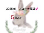 ✨【送料無料】『2025年福袋-ブローチ５点セット』５点ともランダム
