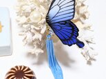 蝶のピアス（大）アゲハの画像
