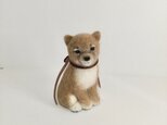 茶色い子犬 [ 再出品 ]