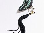 『モフ様』オーダー品　蝶のピアス　アオスジアゲハの画像