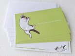 ★再販★メッセージカードセット（ネコ/グリーン）