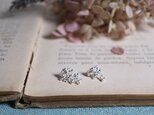 Silver earring 「When whispering」の画像