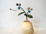 5005.bud 粘土の鉢植え ノブドウ