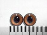 にゃんこのおめめ○半球グラスアイ○猫目○10mm○10714の画像