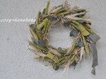 小麦とパンパスのwreathの画像