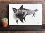 『ギンギツネ』 20x13cm パネルの画像