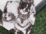 立体マスク　キッズ　オトナ　イヌ　犬　DOGの画像