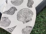 立体マスク　キッズ　オトナ　貝殻　シェルの画像