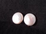 コインパール クリップイヤリング【SV】coin pearl