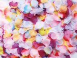 送料無料☆結婚式を華やかに！10色MIX セット フラワーシャワー1000枚 トロピカル たっぷりフラワーペタル 造花の画像