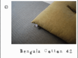 bengala COTTON ＜42＞の画像