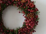 八ヶ岳〜ノイバラの実とサンキライWreath001の画像