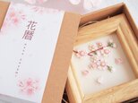 花暦 - 桜 - （ つまみ細工＊受注制作 ）