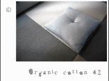 Organic cotton 42の画像