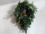 針葉樹とユーカリのクリスマスwreath-Ⅱの画像