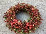 八ヶ岳〜ノイバラの実とサンキライWreath001