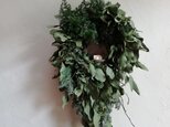 ユーカリの森のwreath