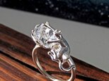 ハーキマーと猫 リング ＊ Herkimer & Cat ?の画像