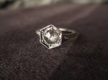 　K18WG Salt & Pepper Diamond  Ringの画像