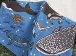 秋冬マスク　立体マスク　キッズ　オトナ　ジンベエザメ　魚　サメの画像