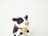 牛（Holstein）Bの画像