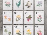 【1枚選ぶ】優雅なお花の刺繍ワッペン アップリケ　アイロン　繊細　フラワーの画像