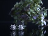 Silver earring 「Beautiful person」の画像