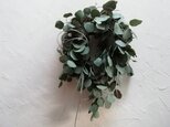 wreath-ユーカリとレモングラス(61cm)