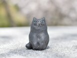 cat　b8の画像