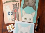 ●猫とネコの絵本シリーズ3●猫とネコのご挨拶　レターセットの画像