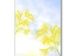 「ゆるやかさでつながる春のココロ」ミモザ 春 ほっこり癒しのイラストポストカード2枚組　No.1306の画像