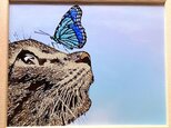 猫と蝶の画像