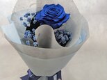 【プリザーブドフラワー／青い薔薇とブルーカスミ草の祝福一輪ラッピング付き】