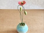 5588.bud 粘土の鉢植え ヒナゲシ
