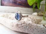 【10号】kyanite silver925 ringの画像