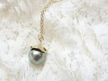 黒蝶真珠のペンダント