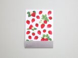 便箋15枚セット いちご