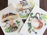 ポストカード『文鳥』３種類セットの画像