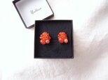 【天然石の刺繍イヤリング】 orange moonstone × carnelian × sapphire