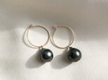 【K14GF】Tahitian Baroque Pearls Earringの画像